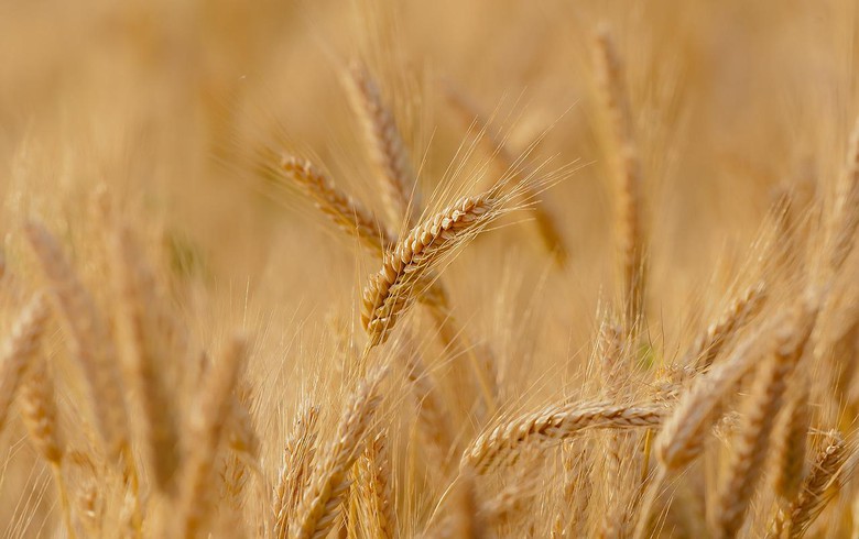 Brazil's CB Bioenergia to invest USD 15m in new ethanol plant