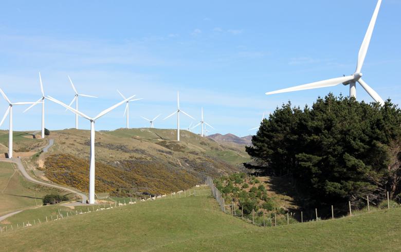 Bulgaria's electricity TSO asks green energy producers to halve output