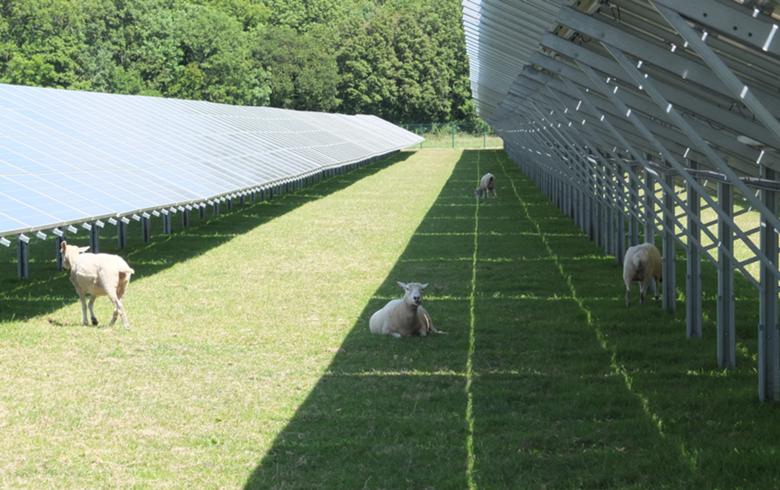 BRACH solar farm - Valorem