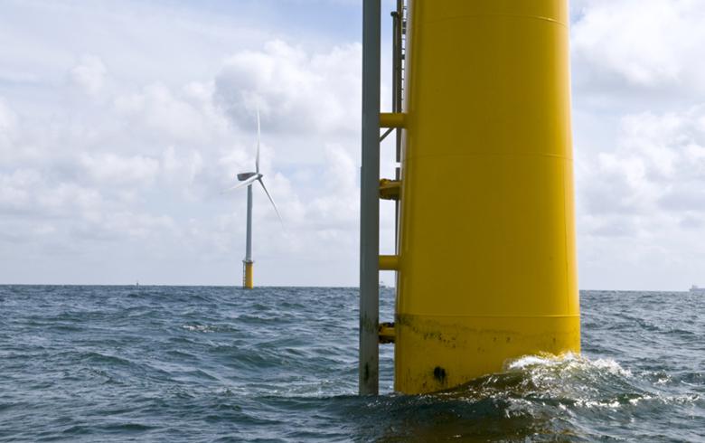 New York Bight wind leasing to cause no significant impacts, BOEM finds